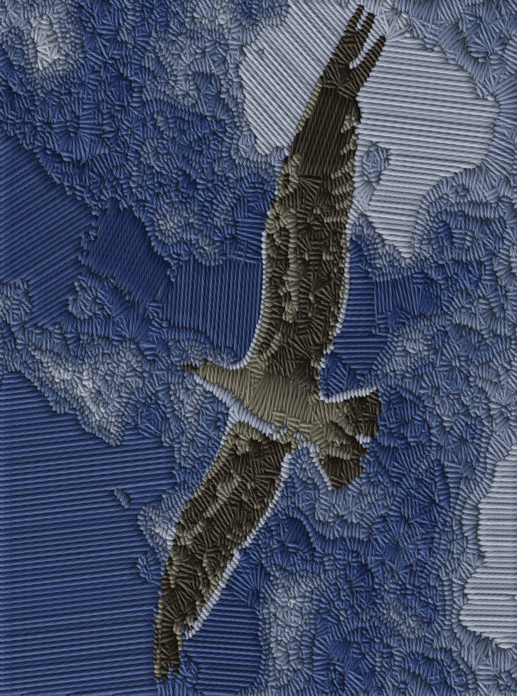 BOJRART Seagull High Res Digital Download